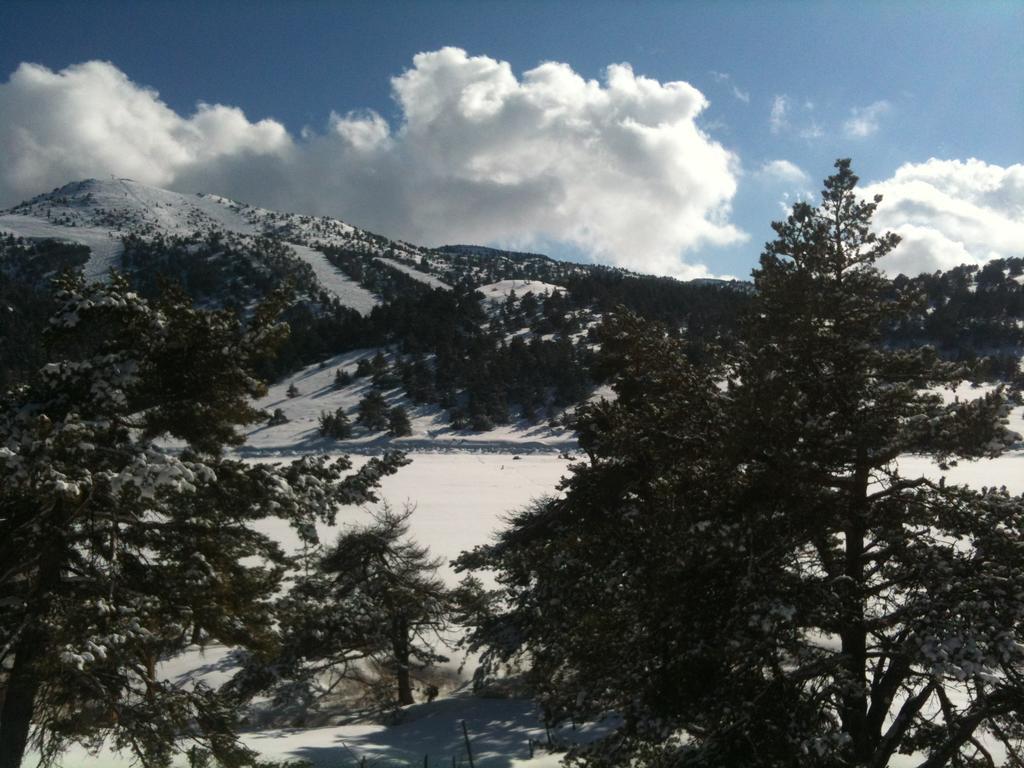 Apartment Face Aux Pistes Greolieres les Neiges Exterior foto