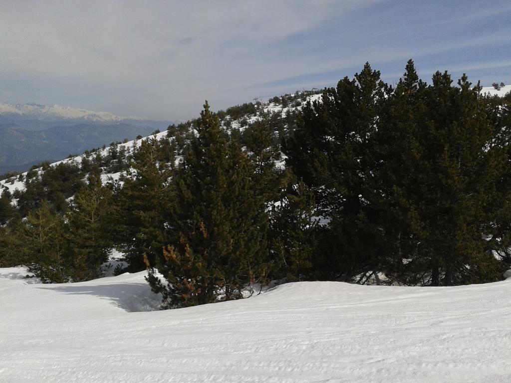 Apartment Face Aux Pistes Greolieres les Neiges Exterior foto
